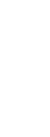 التسويق الإلكتروني و SEO