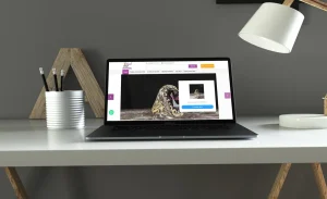 asloaraby.com